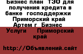 Бизнес-план, ТЭО для получения кредита в банке, господдержки - Приморский край, Артем г. Бизнес » Услуги   . Приморский край